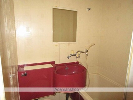 ロックバレー大野[1R/24.16m2]の洗面所