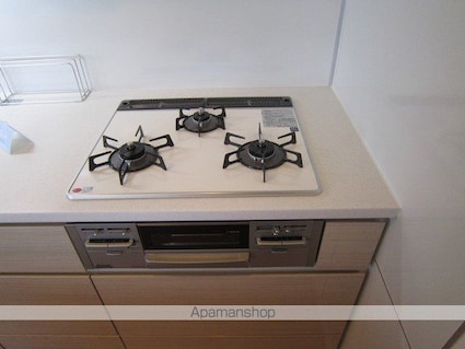 パークリュクス西新宿１１０３号室[1LDK/37.69m2]のキッチン2