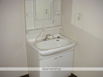 ニューパークＡ棟[3DK/53m2]の洗面所