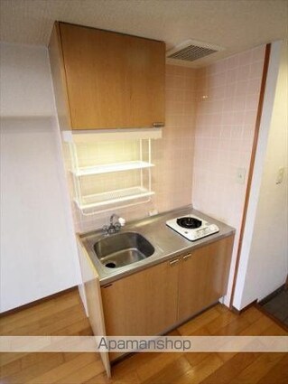グランアルブル山越Ⅱ[1R/29.5m2]のキッチン