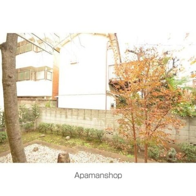 Ｗｏｏｄ　Ｓｐａｃｅ　Ｏｋｕｓａｗａ[1K/20.83m2]の眺望