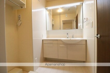 プレミアムⅩⅠ・ⅩⅡ番館　Ａ棟[1LDK/45.84m2]の洗面所