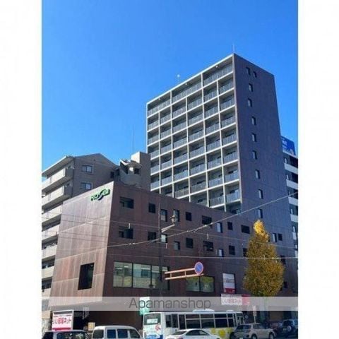 RISE KUMAMOTO EXE