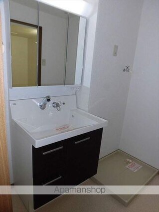 ファシナシオン毛見Ⅱ[2LDK/55.32m2]の洗面所