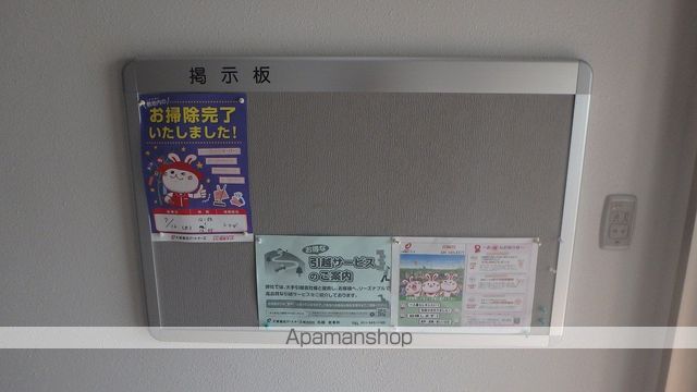 グルービーのその他写真