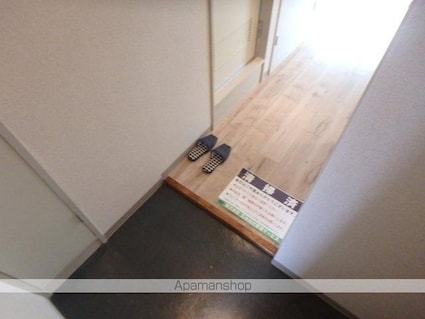 ダイホープラザ桜台[1R/21.08m2]の玄関