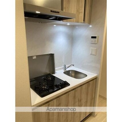 ＳーＲＥＳＩＤＥＮＣＥ金山ａｌｔａｎｏ（アルターノ）[1K/24.64m2]のキッチン