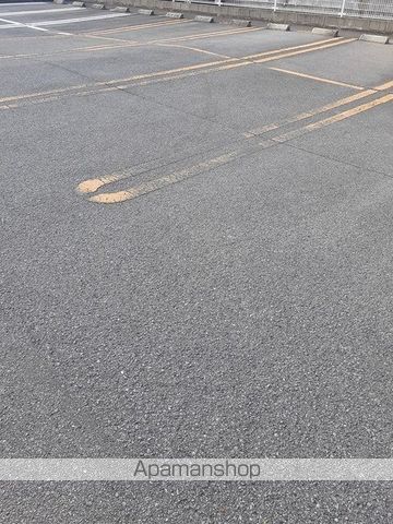 アルテミスのその他写真