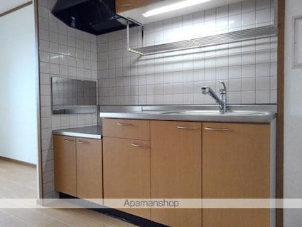 スプリング・フィールド[2LDK/51.67m2]のキッチン