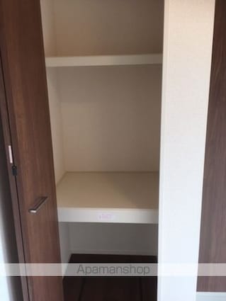 フェニックス　ＩＩ[2LDK/52.53m2]の収納