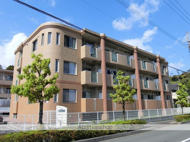 アイヴィ