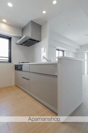 リーフシティ市川　ザ・レジデンス[1SLDK/58.5m2]のキッチン1