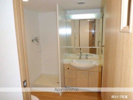 ハウス桃李[1R/32.12m2]の洗面所