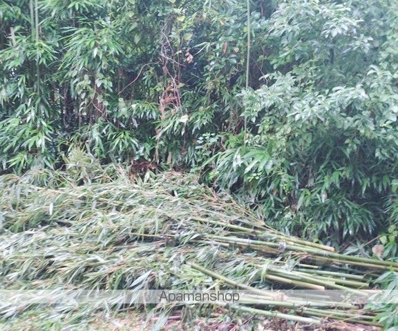 東英ハウス金草原の内装写真