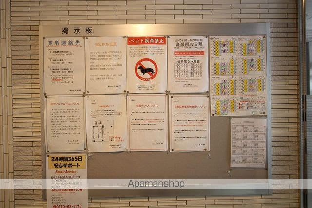 ノヴァ大通のその他写真