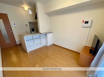 レオパレスパークハイム[2DK/49.2m2]のリビング・居間1