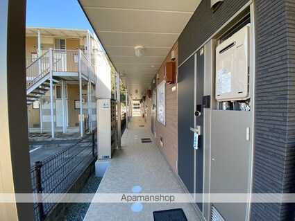 クレイノファレノプシス[1K/25.09m2]の玄関2