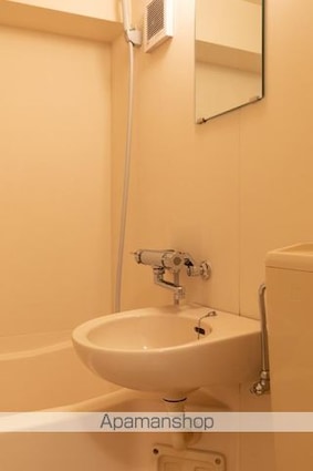 メゾン・プレジール[1K/19.65m2]の洗面所