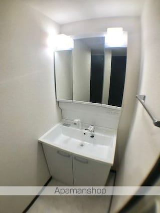 滋賀県近江八幡市鷹飼町北４丁目[1LDK/40.98m2]の洗面所