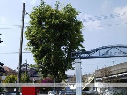 レオパレスレミュール[1K/26.49m2]のその他部屋・スペース2