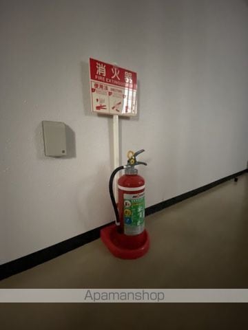 ソレアードのその他写真