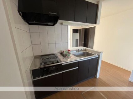 ルミナスガーデンＡ[1LDK/44.95m2]のキッチン