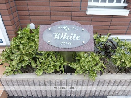 Ｗｈｉｔｅ[1LDK/42.8m2]のロビー