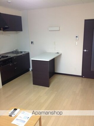 レオネクスト辛島Ⅱ[1K/30.84m2]のリビング・居間3