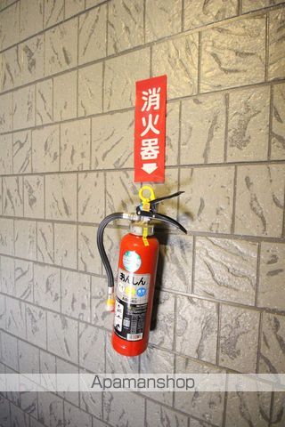 DOGWOODのその他写真