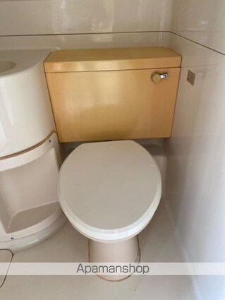 溝渕ハイツ[1K/21.2m2]のトイレ