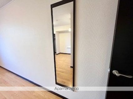レオネクストミレニアム　Ｔ[1K/30m2]のその他設備1