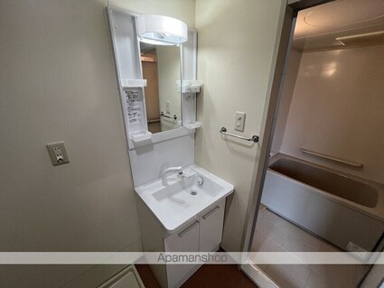 甲西グリーンハイツ[1DK/45.9m2]の洗面所