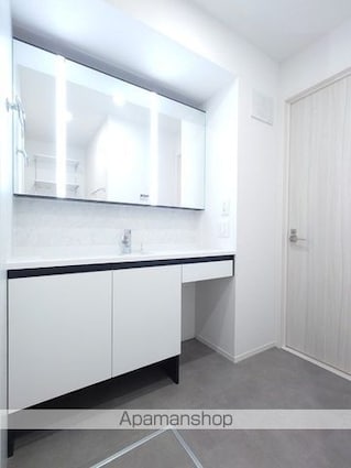 Ｄーｒｅｓｉｄｅｎｃｅ東川口Ｓ[2LDK/56.72m2]の洗面所