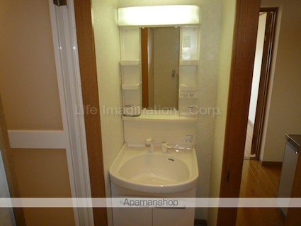 ハイツＡＫＵＡ[1K/30.34m2]の洗面所