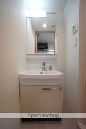 プレサンス太閤通ファシール[1K/21.64m2]の洗面所