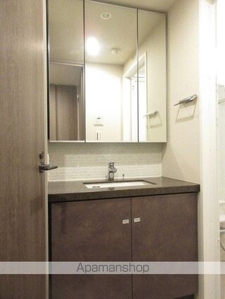 ザ・パークハビオ高円寺レジデンス[1LDK/35.36m2]の洗面所