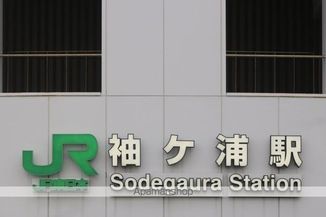 プルメリアの周辺写真