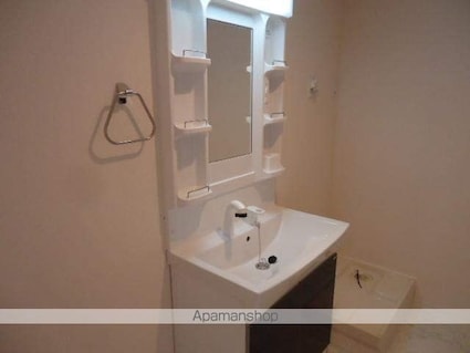 愛媛県松山市東長戸２丁目[2LDK/62.2m2]の洗面所