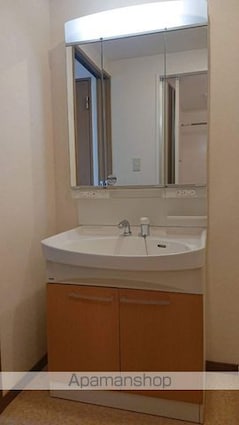 シティハイツ宇品[1R/37.35m2]の洗面所