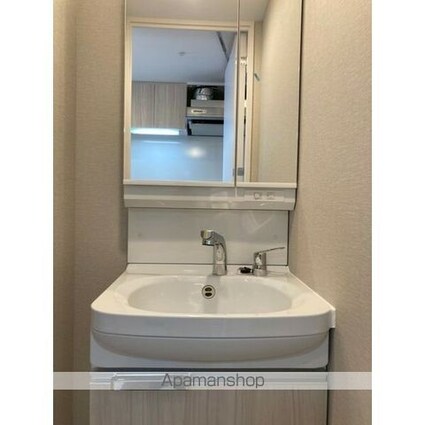 メイクス城西レジデンス[1K/23.65m2]の洗面所