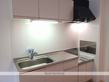 トルナーレ[1LDK/46.41m2]のキッチン