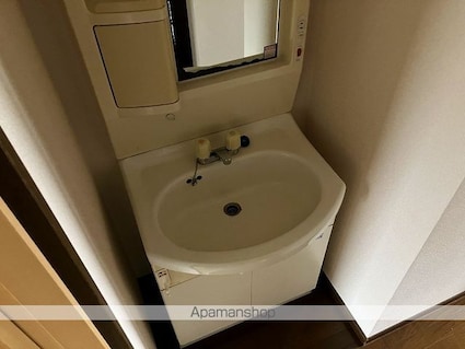 カスティージョＮ[2DK/53.41m2]の洗面所