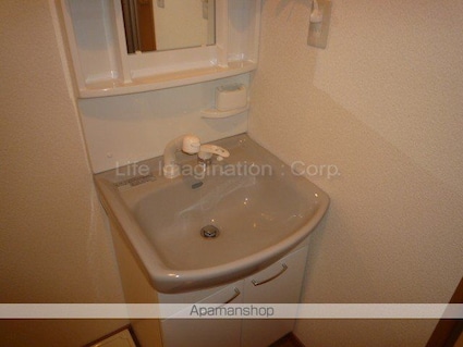 カーペンターハウスⅥ[1K/26.91m2]の洗面所