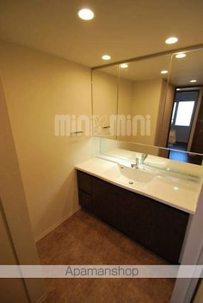 ウェリス南持田　緑彩苑[4LDK/95.4m2]の洗面所