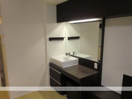 レオネクスト日野万願寺[1R/23.18m2]の洗面所