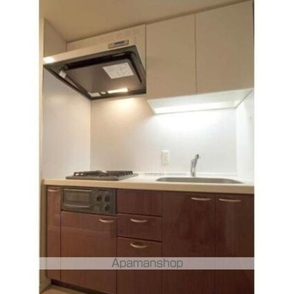 パークアクシス日本橋ステージ[1K/30.01m2]のキッチン