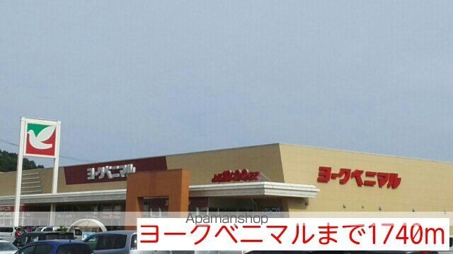 アスリートの周辺写真