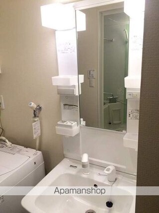 レオネクスト菜の花[1K/30.03m2]の洗面所