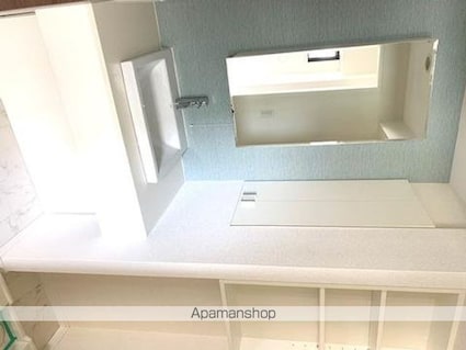 ウィルテラス勝どき[1LDK/42.24m2]の洗面所