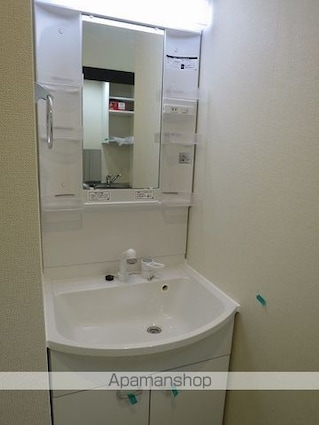 ハーモニーテラス上井草Ⅴ[1R/12m2]の洗面所